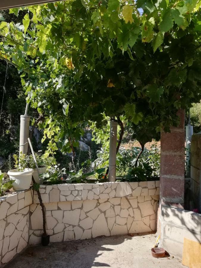 Apartman Radic Ston Luaran gambar